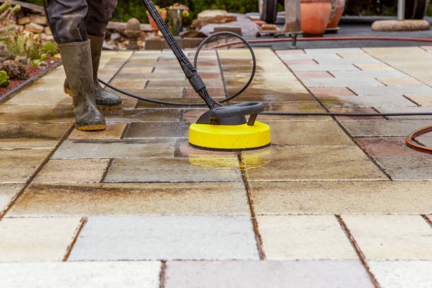 Best Dumpster Area Cleaning  in Sandy Hook, CT